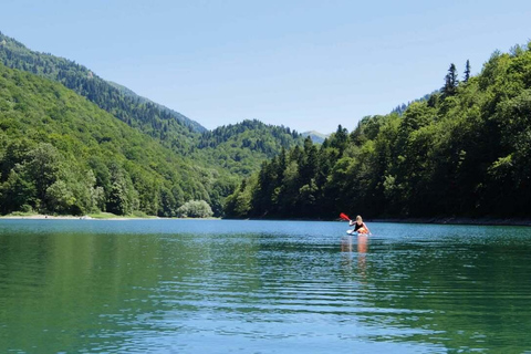 Montenegro: Biogradska Gora National Park Day Trip