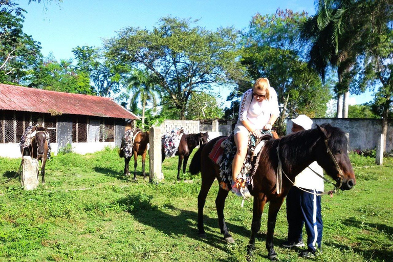 From Puerto Plata: Horseback ride along the mountain river