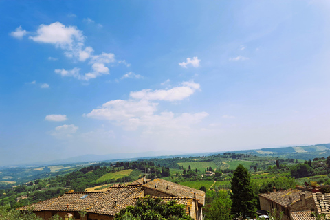 Best of Tuscany Experience Pisa, Siena, San Gimignano & Wine Standard Group Option
