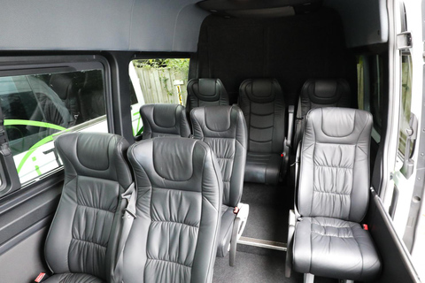 Da Rotorua ad Auckland - Trasferimento pomeridiano con Waitomo Caves