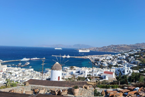 Mykonos Island Tour : Explore with a Local - Pickup included 4 Hours Private Tour : Full Experience - Pickup included