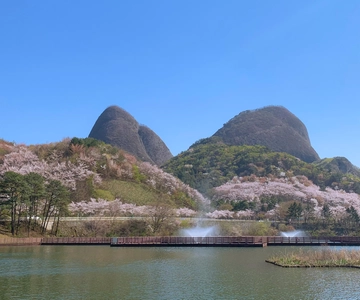 Seul: Maisan Cherry Blossom e Jeonju Hanok Day Tour