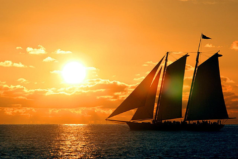 From Miami: Small Group Key West 1-Day TourTour only