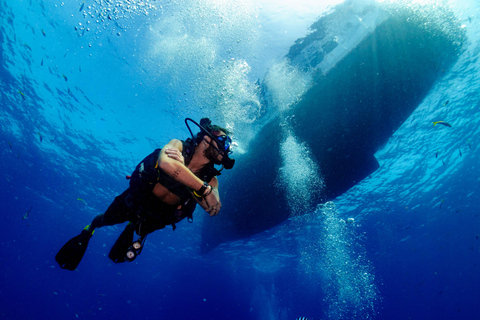 Ko Tao: Try Scuba Diving 1-Day Experience