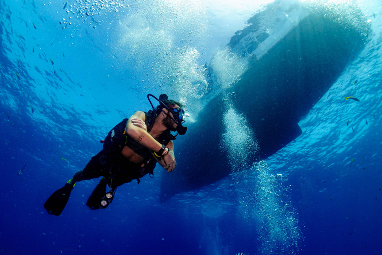 Ko Tao: Try Scuba Diving 1-Day Experience