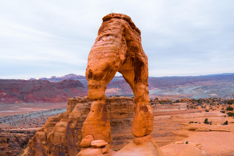 Wadi Rum: Horseback Ride to Khazali Canyon & Sand Dune