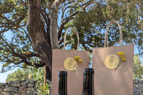 Korsika: Verkostung von Bio-WeinenKorsika: Bio-Weinverkostung