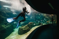 Area Heraklion, billet d'admission de Cretaquarium - Housity