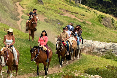 From Santiago: Papudo Lobos Island Boat & Horseback Ride
