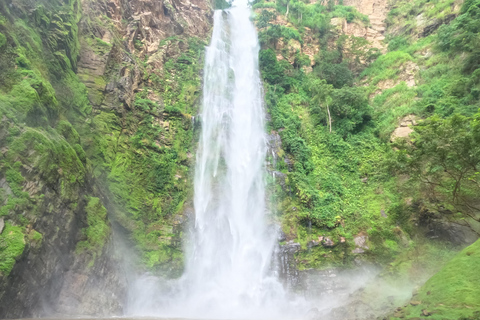 Excursion d&#039;une journée à la découverte de chutes d&#039;eau pittoresques