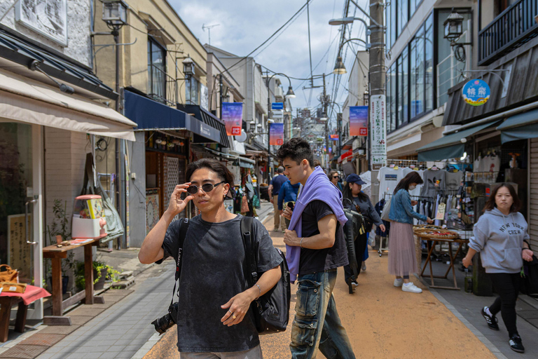 Tokyo: Yanesen Cultural & Hidden Gems Guided Walking Tour