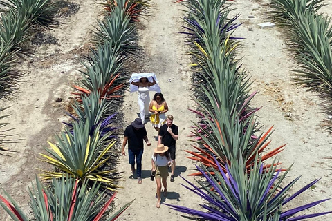 Ruta del Mezcal Oaxaca