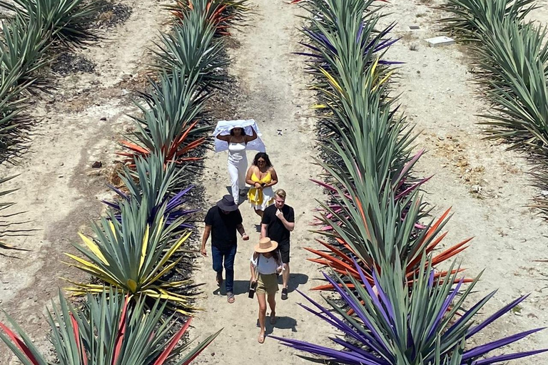 Tour del Mezcal a Oaxaca