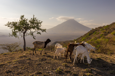 Private Ol Doinyo Lengai 2-day Adventure group price