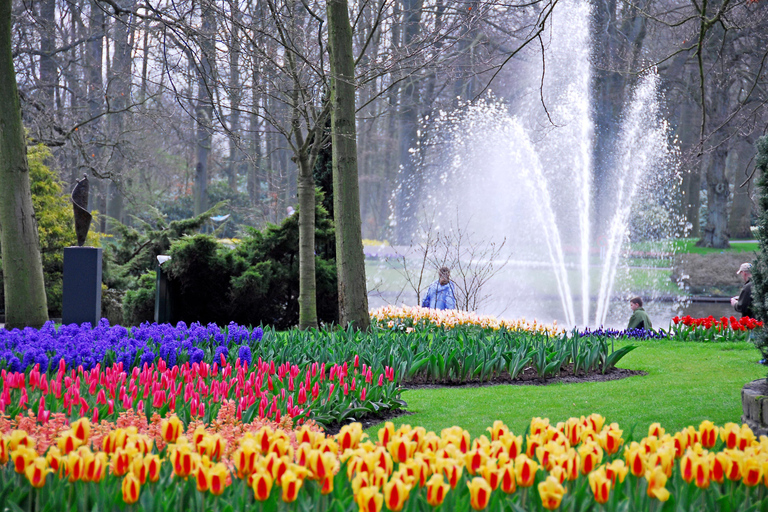 Antwerp: Full-day Holland Guided Keukenhof & Kinderdijk Tour Tour in Spanish
