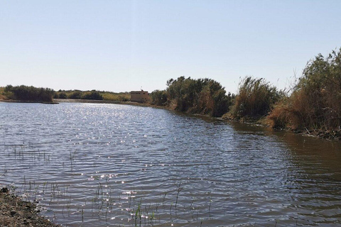 History & Nature: Azraq Wetland Reserve and Desert Castles