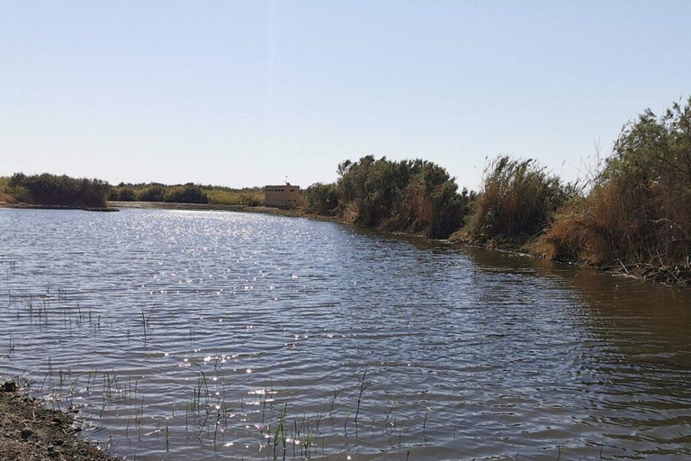 History & Nature: Azraq Wetland Reserve and Desert Castles