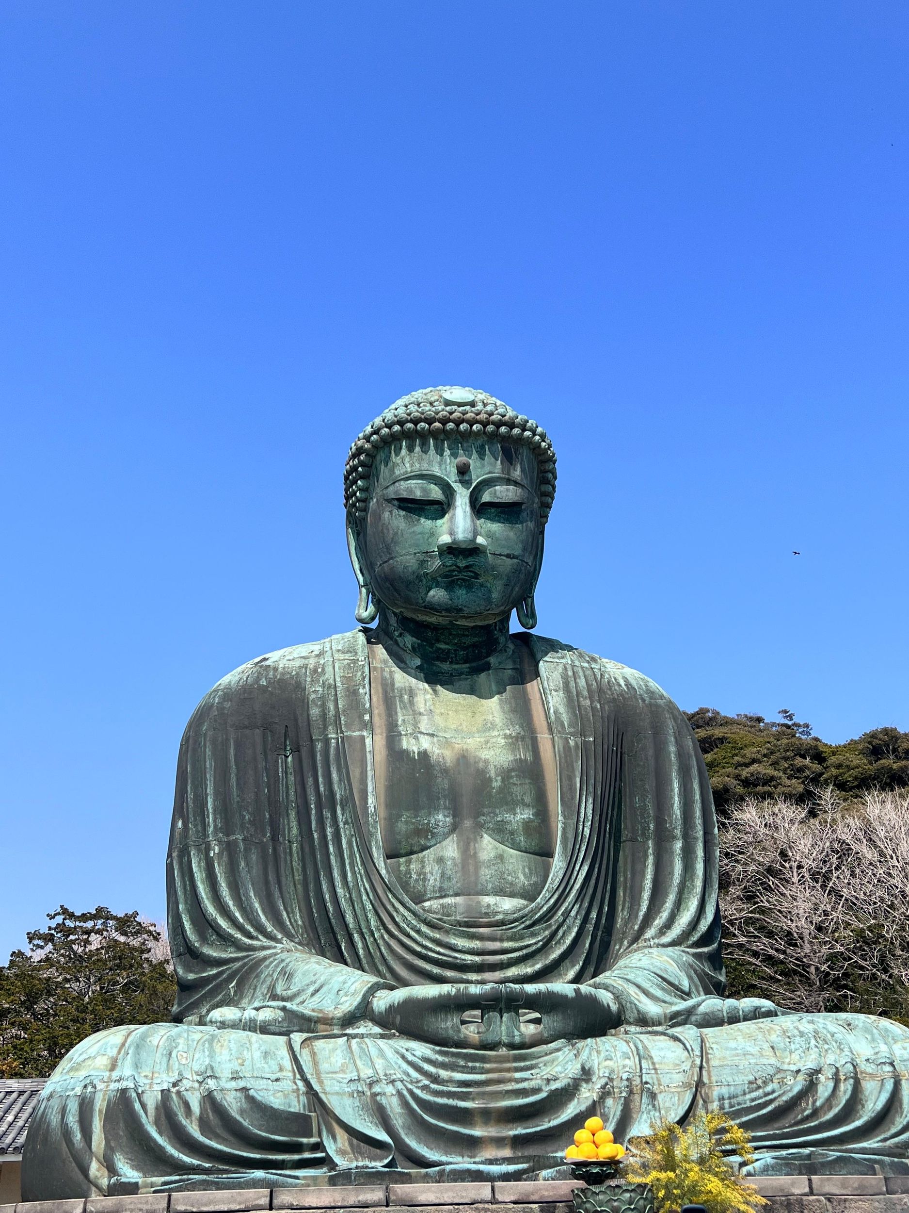 Kamakura und Enoshima: Private geführte Tagestour mit Fahrzeug