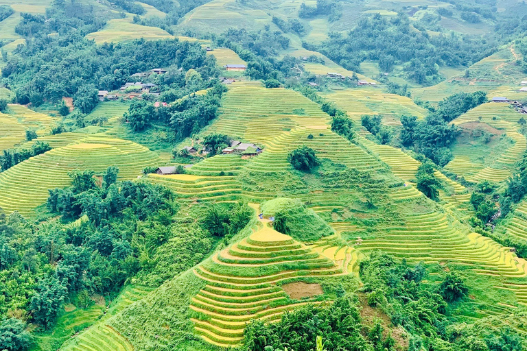 Trekking di 2 giorni a Sapa ed esperienza in famiglia