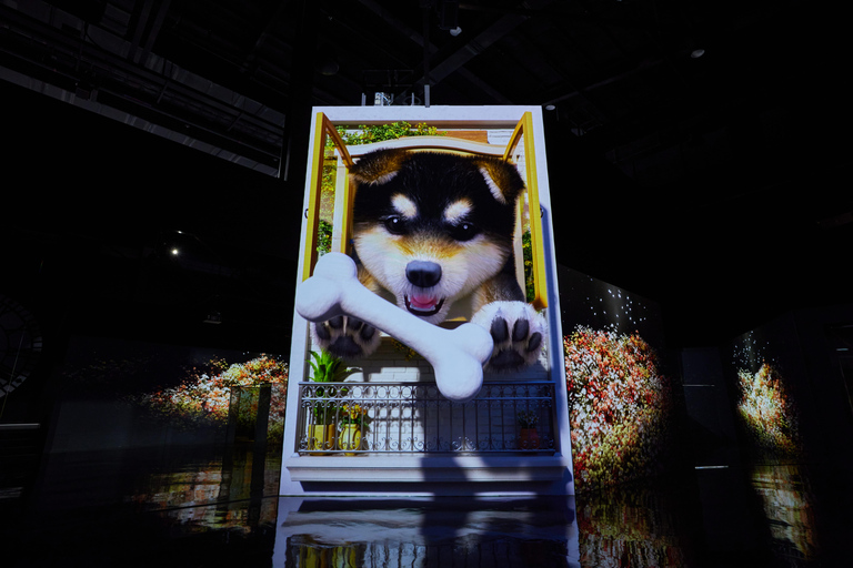 Paju: Museum HEI Immersive Media Art Exhibition Entry Ticket