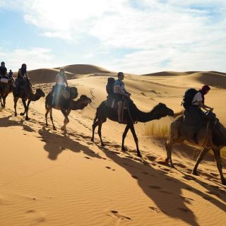 Ab Marrakesch: 3-tägige Wüsten-Tour nach Fès