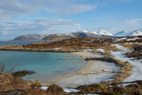 Tromso: Dagtrip Kvaløya en Sommarøy Scenic Fjord