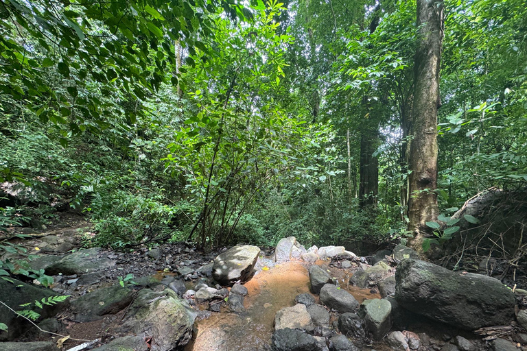 Bijagual Jungle Waterfall Hike & Herradura Beach Adventure