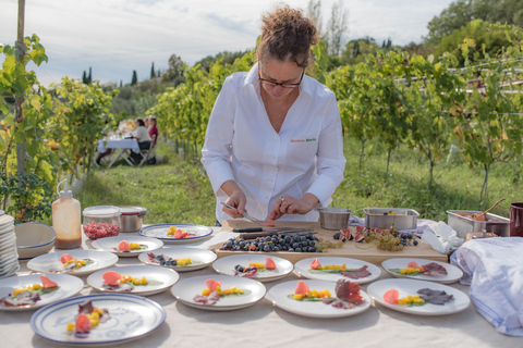 Dinner in the vineyard French Riviera