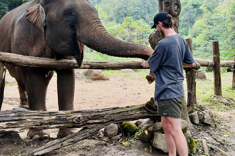 مغامرة شيانغ ماي ليوم كامل: المشي لمسافات طويلة، والتزحلق على الأنابيب، ومشاهدة الفيلةالرحلات، وا