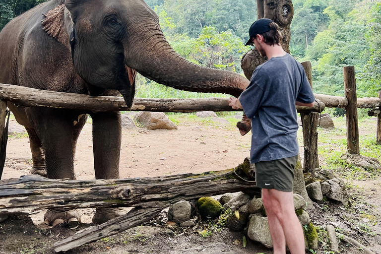 مغامرة شيانغ ماي ليوم كامل: المشي لمسافات طويلة، والتزحلق على الأنابيب، ومشاهدة الفيلةالرحلات، وا