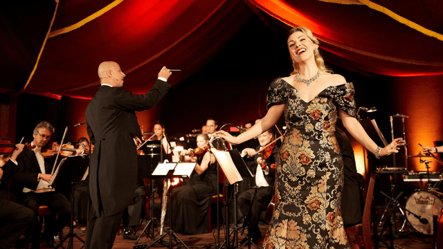 Vienna: Johann Strauss Dinner Show at the Prater