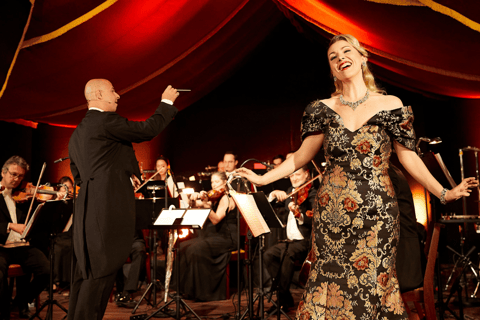 Wenen: Johann Strauss DinnershowCategorie A - Ring