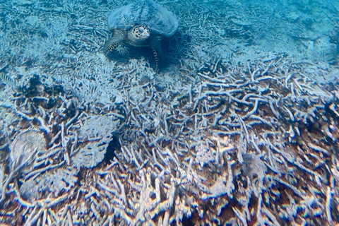 Blue Bay Marine Park: Guided Snorkeling with Video Souvenirs and Snack