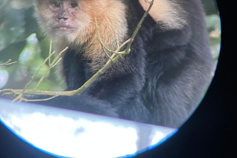 Monteverde cloud forest preserve tours