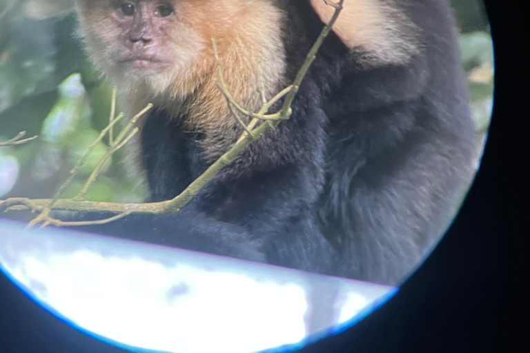 Monteverde cloud forest preserve tours