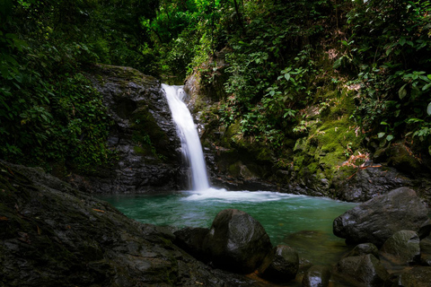 COSTA RICA:UPPTÄCK COSTARICAS VILDA DJUR-STRAND &amp; SKOG 2VECKOR