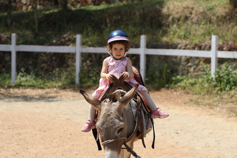 Experiência de passeios de burro para criançasExperiência em passeios de burro para crianças