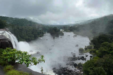 Depuis Kochi : Excursion d&#039;une journée aux chutes d&#039;eau d&#039;Athirappilly avec transferts