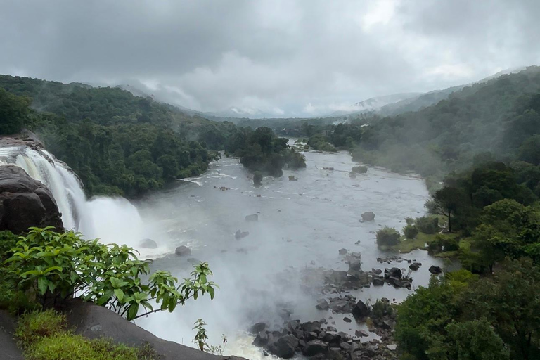 Vanuit Kochi: Athirappilly Watervallen Dagtrip met Transfers