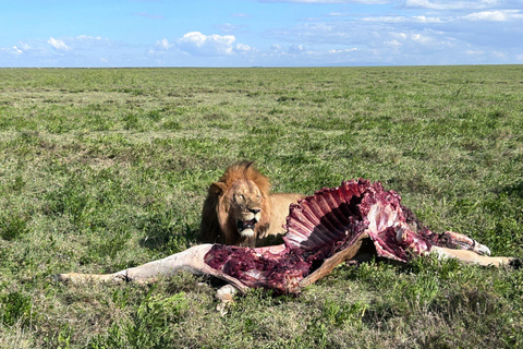 Zanzibar: Safari di 2 giorni nel Parco Nazionale di Mikumi