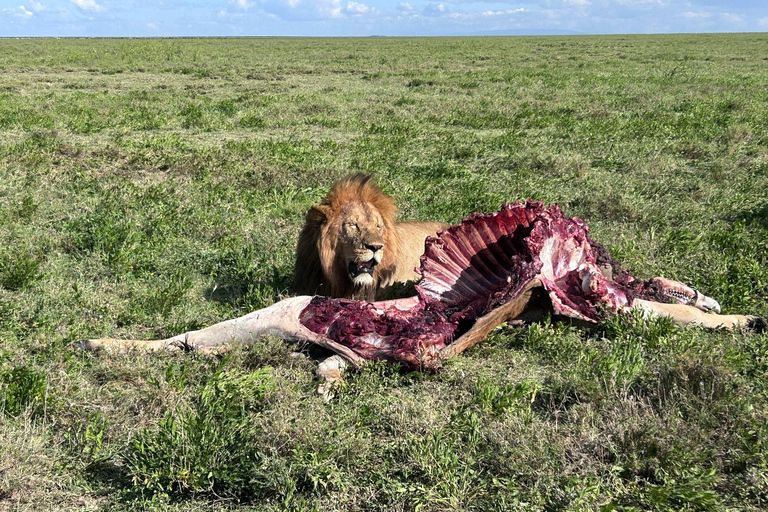 Zanzibar: Safari di 2 giorni nel Parco Nazionale di Mikumi