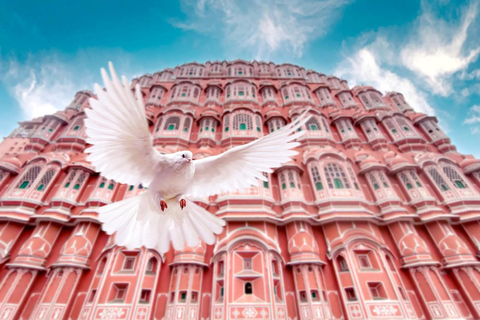 Jaipur: Private Full-Day City Tour with Female Guide City Tour with Guide, Car, Entrance Fees and Lunch