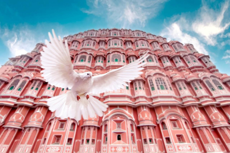 Jaipur: Private Full-Day City Tour with Female Guide City Tour with Guide, Car, Entrance Fees and Lunch