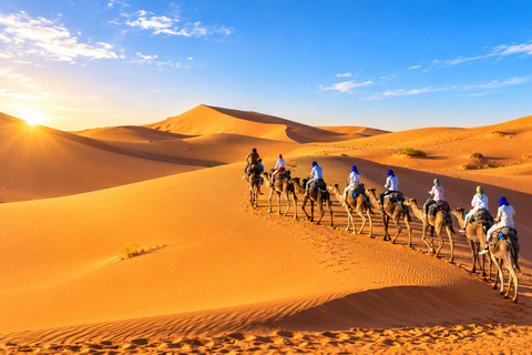 From Fes: 3-Day Merzouga Desert Tour to Marrakech Standard Desert Camp Experience (Shared Facilities)
