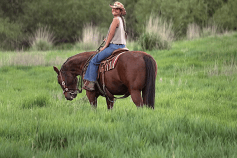 Saint Maarten: Sunset Horseback Ride and Campfire Tour