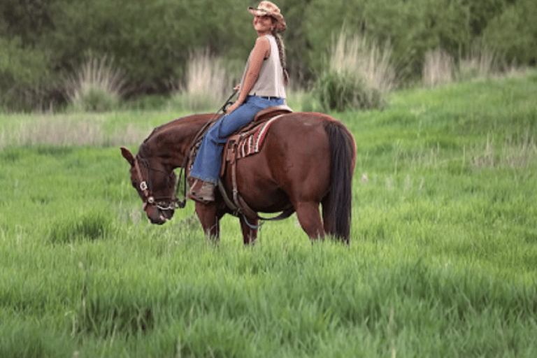 Saint Maarten: Sunset Horseback Ride and Campfire Tour