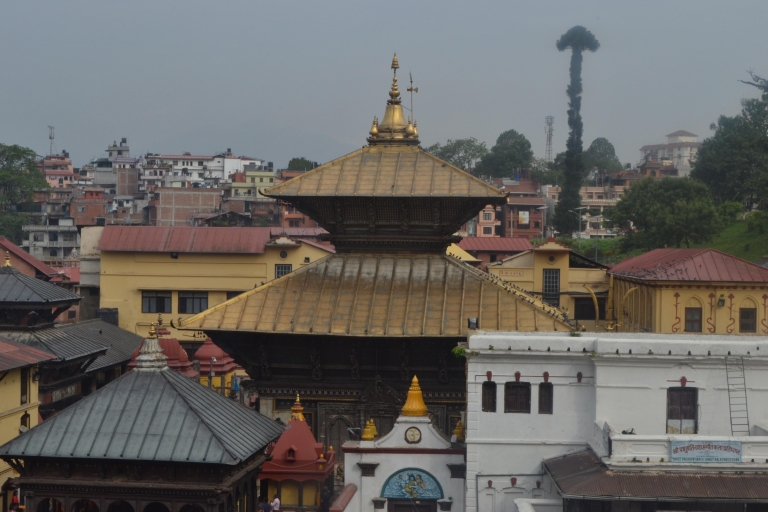 Wycieczka po światowym dziedzictwie: Luksusowa jednodniowa wycieczka do Katmandu
