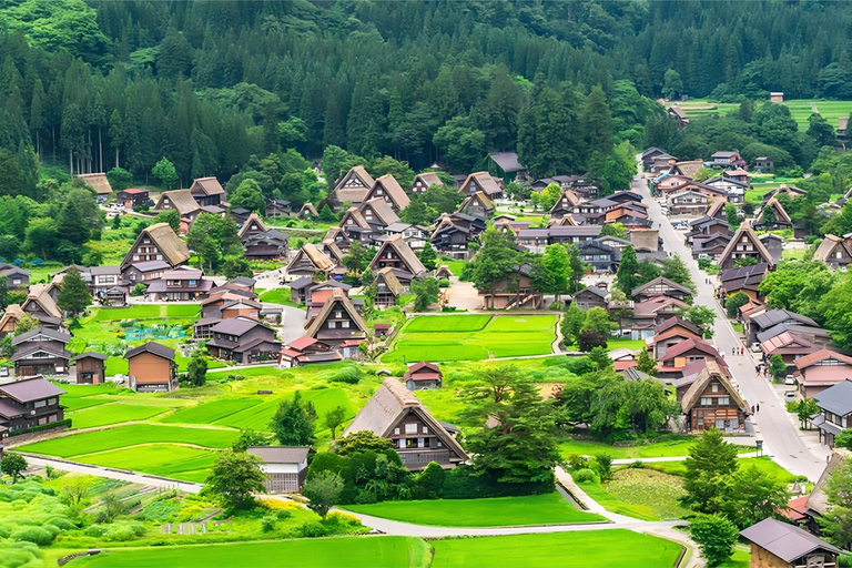 Nagoya: Viagem de inverno Hida Takayama e Shirakawa-go UNESCO