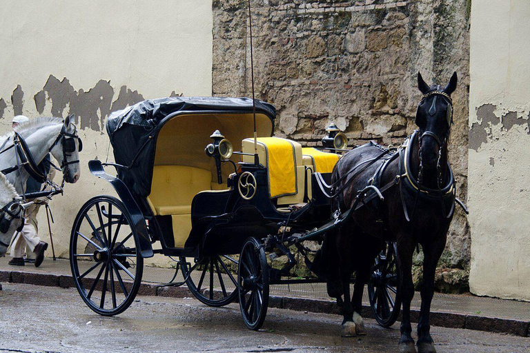 Córdoba: Private Horse-Drawn Carriage Ride Through the Jewish Quarter and the Mosque Private Carriage without a Live Guide (Max. 4 People)