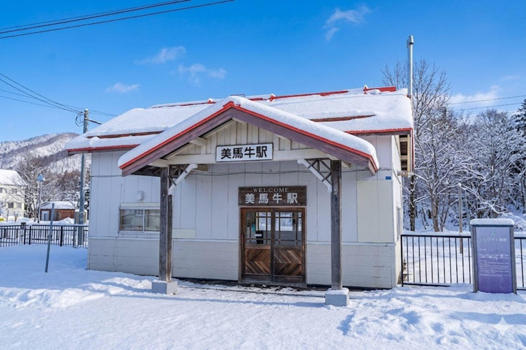 Furano Lavender, Ningle Terrace & Melon Buffet Bus Tour S1-1 [Jun 20 - Aug 9]: Lavender & Buffet